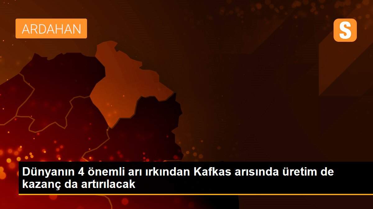 Dünyanın 4 önemli arı ırkından Kafkas arısında üretim de kazanç da artırılacak
