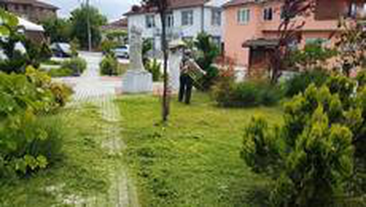 Düzce Belediyesi yabani ot temizliğine başladı
