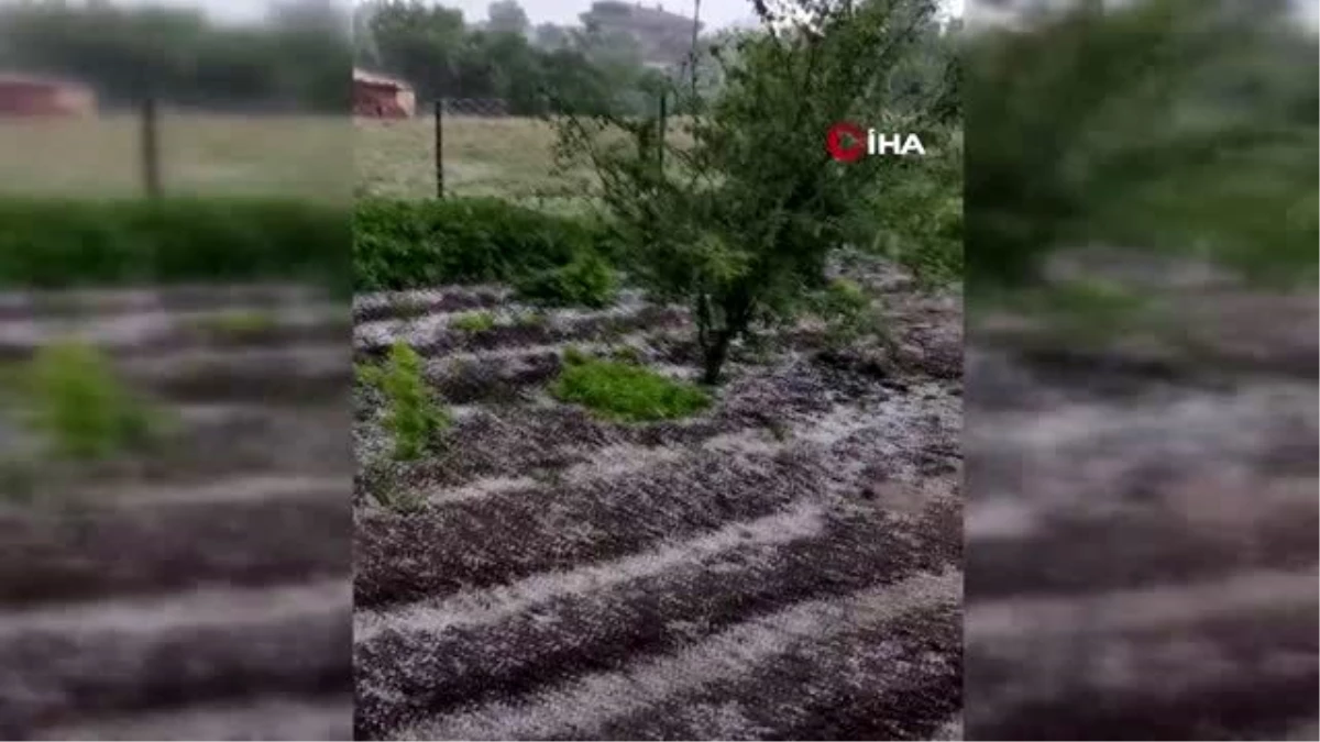 Edirne\'de çiftçileri dolu vurdu