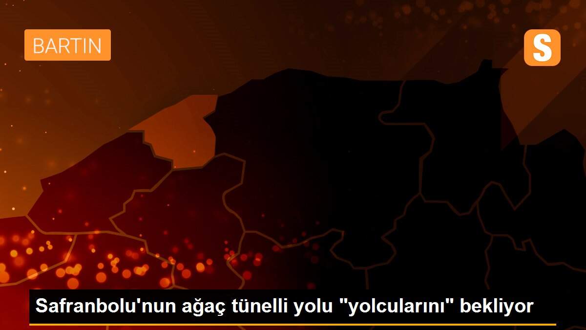 Safranbolu\'nun ağaç tünelli yolu "yolcularını" bekliyor