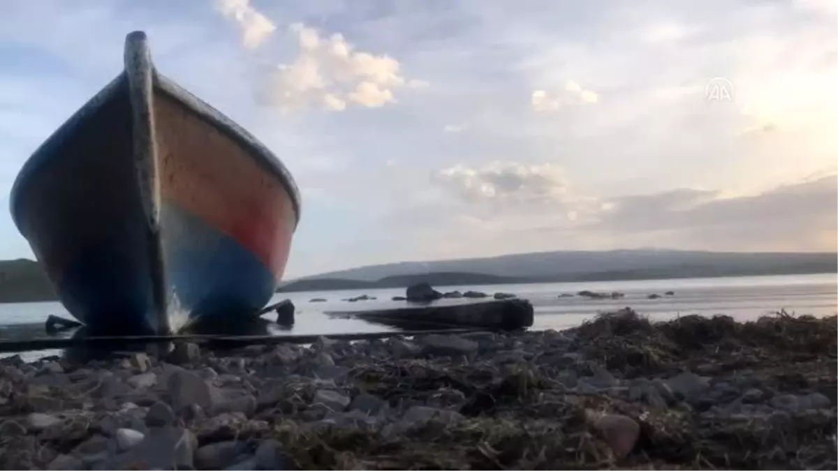 Doğu Anadolu\'nun gölleri Akdeniz\'in balıkları ile şenlenecek - KARS