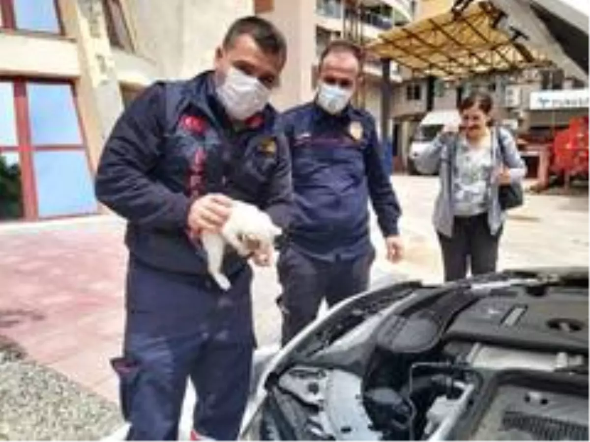 Hareket halindeki otomobilden kedi sesi gelince soluğu itfaiyede aldı