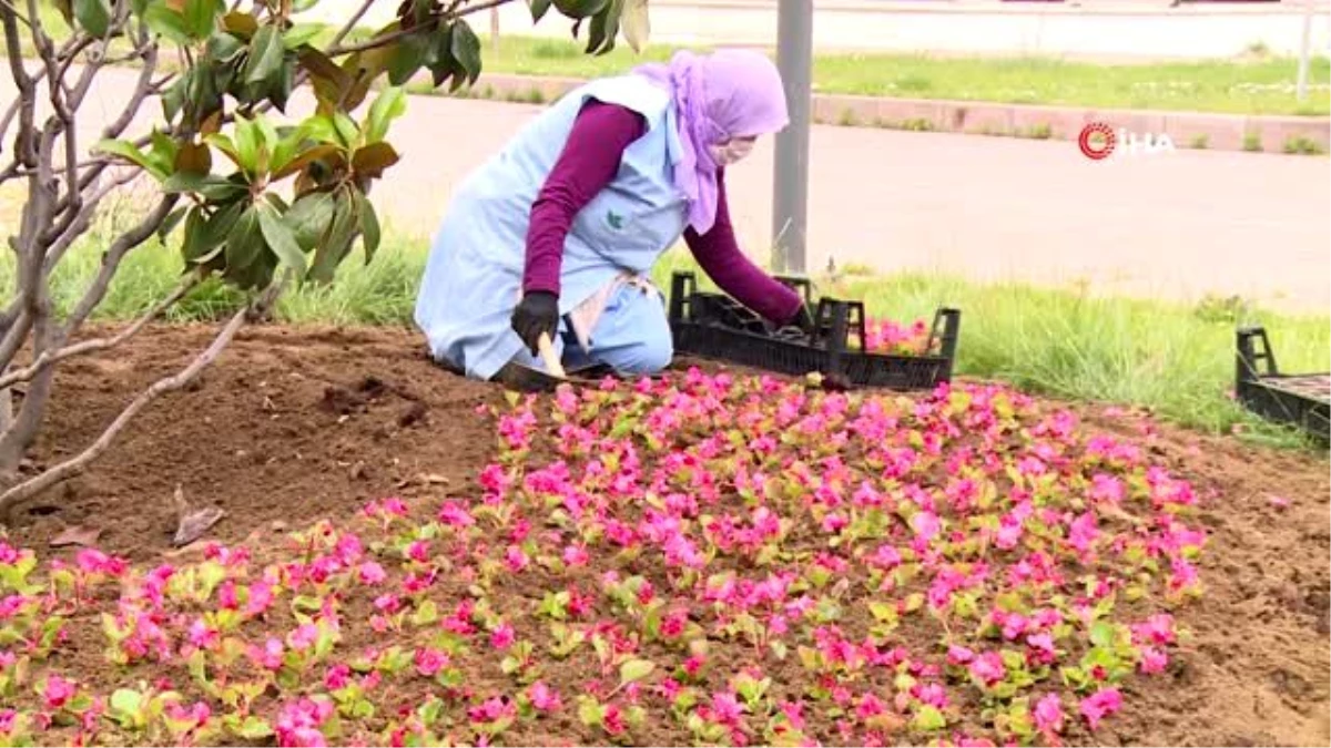 Osmangazi\'de 200 bin çiçek toprakla buluşuyor