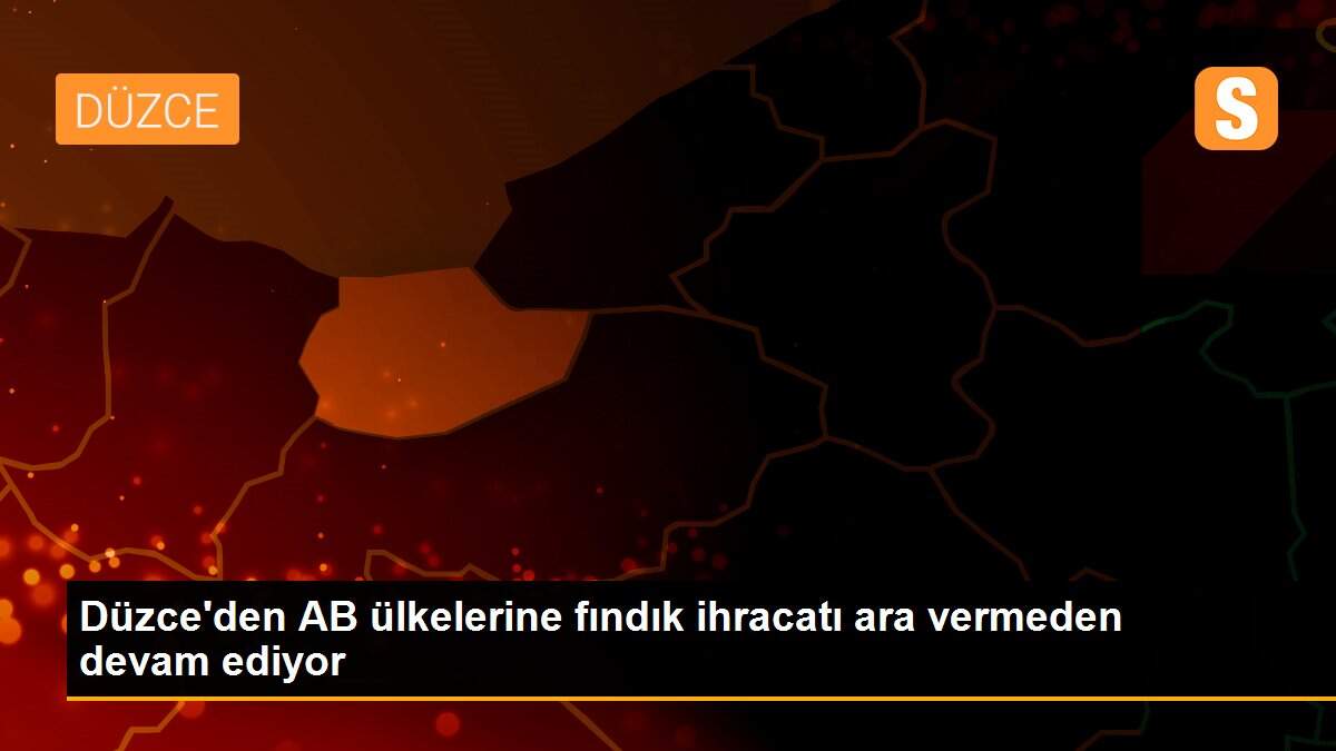 Düzce\'den AB ülkelerine fındık ihracatı ara vermeden devam ediyor