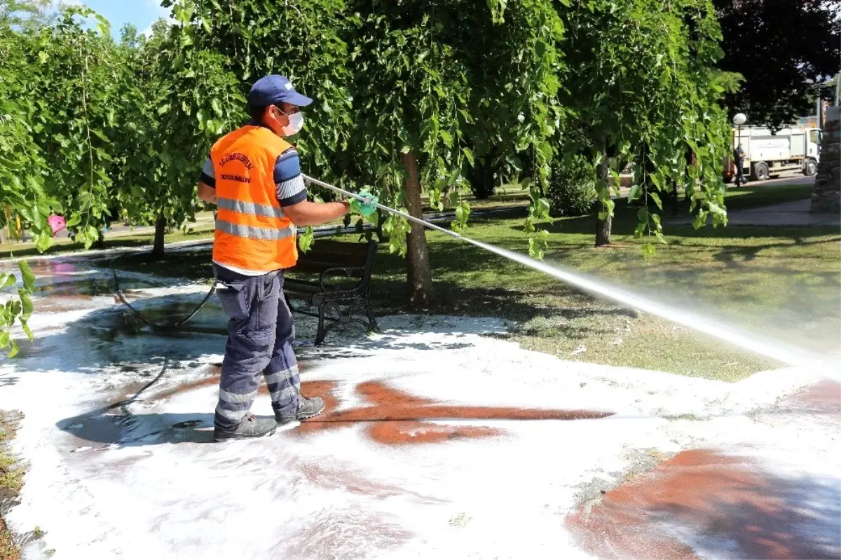 Efeler güneşli günlere hazırlanıyor