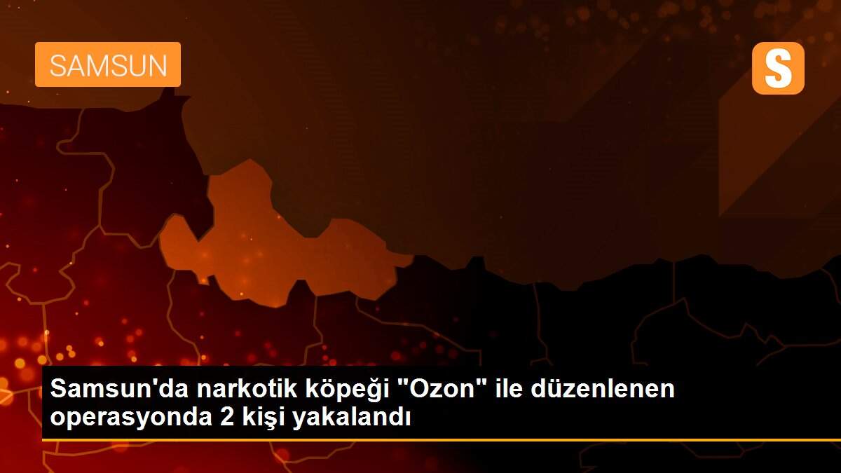 Samsun\'da narkotik köpeği "Ozon" ile düzenlenen operasyonda 2 kişi yakalandı