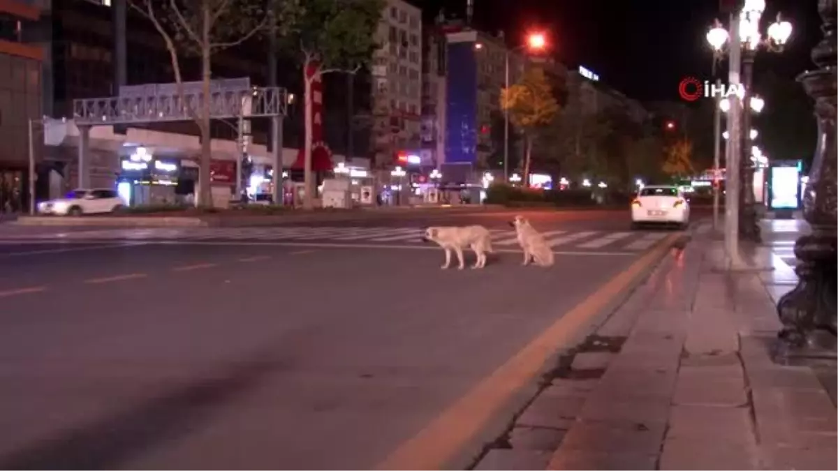 Sokağa çıkma kısıtlamasında Ankara sessizliğe büründü