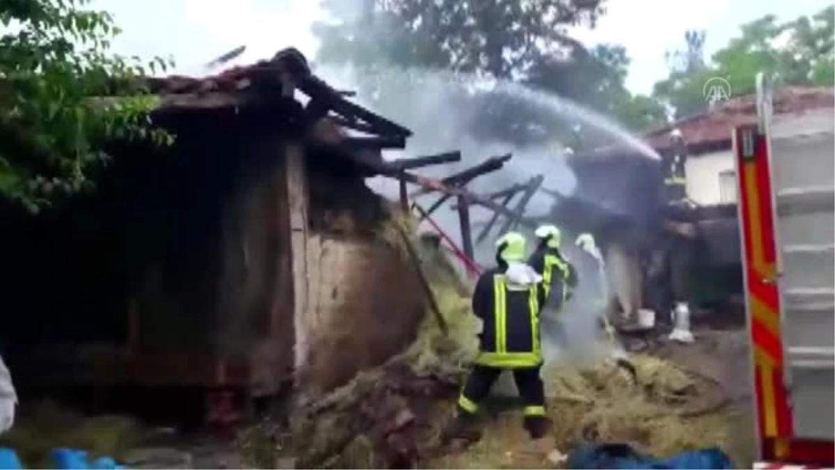 Yangında mahsur kalan ineği itfaiye ekipleri kurtardı