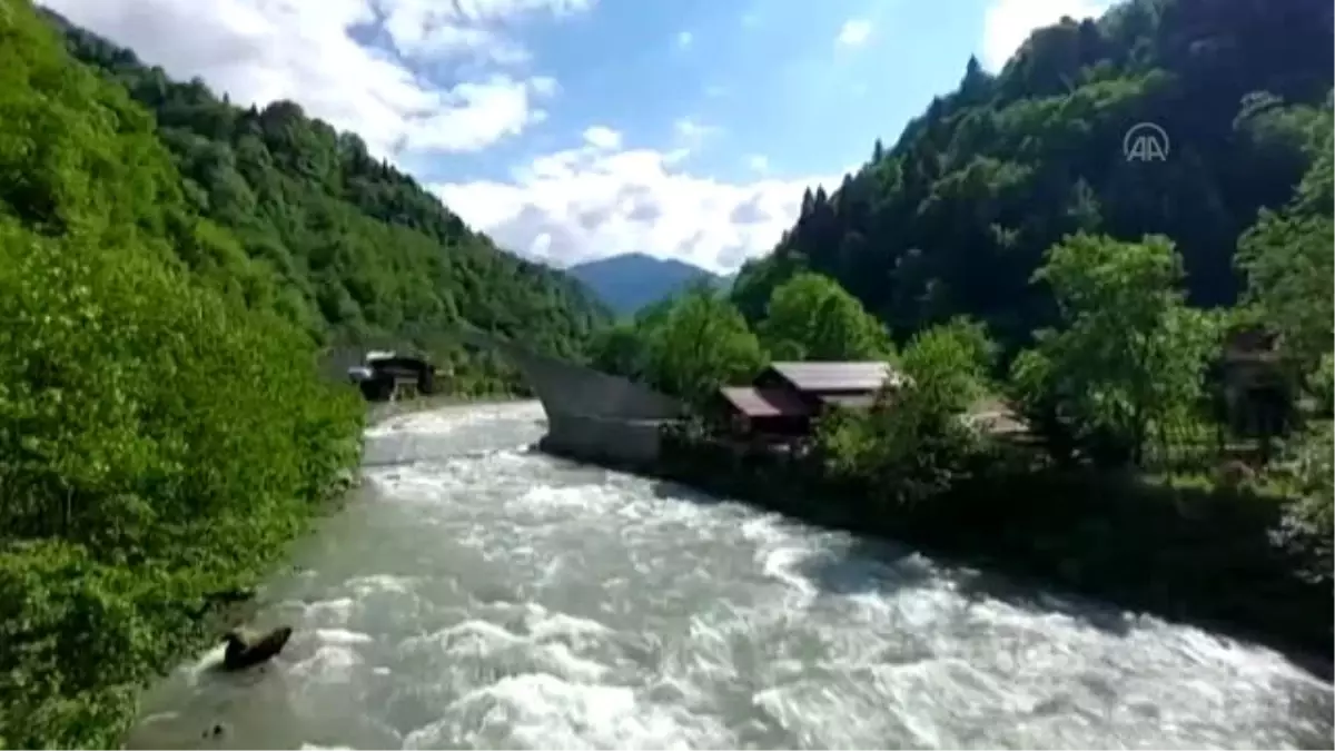 Doğu Karadeniz\'in gözdesi Ayder Yaylası turizm sezonuna hazırlanıyor