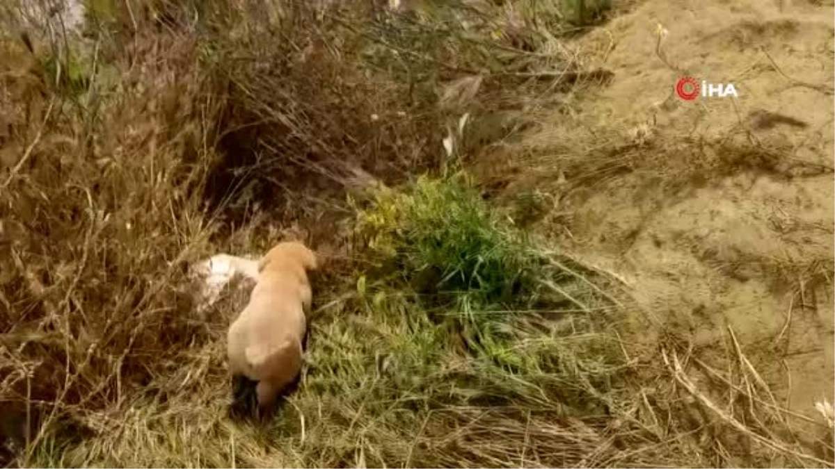 Ezilmesinler diye işçiler sahip çıktı