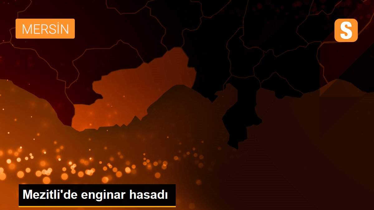 Mezitli\'de enginar hasadı