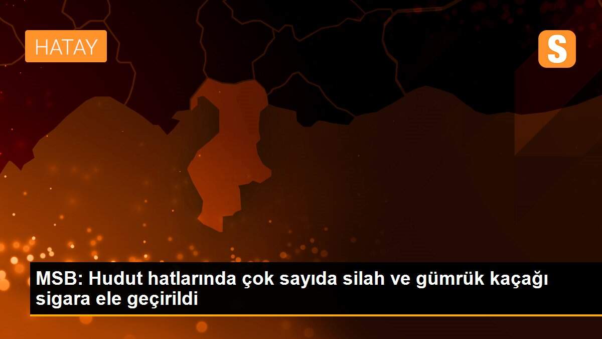 MSB: Hudut hatlarında çok sayıda silah ve gümrük kaçağı sigara ele geçirildi