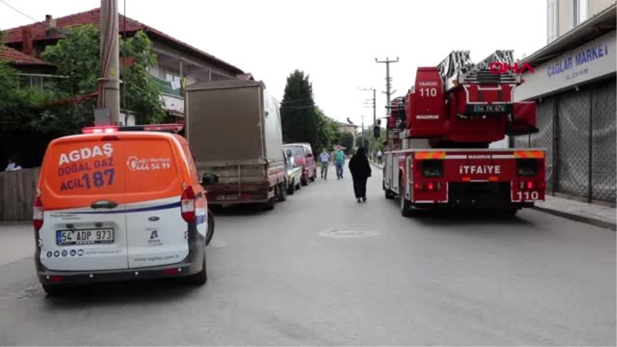 SAKARYA Yangında çatıda mahsur kalan kediyi kurtardılar