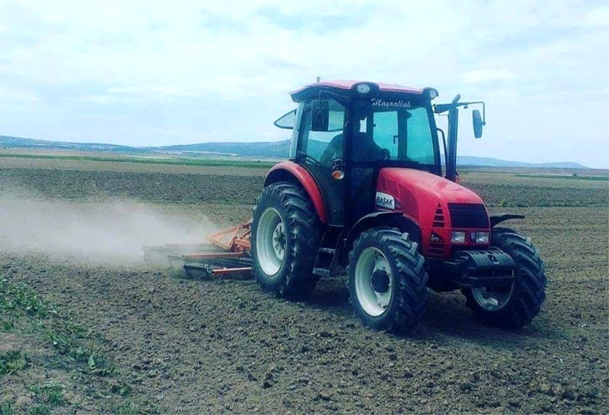 Altıntaş ilçesinde çiftçiler pancar ekimini yeniden yaptı