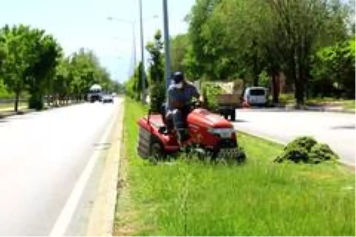 Belediye ekipleri şehir genelinde çalışmalarını hummalı bir şekilde sürdürüyor