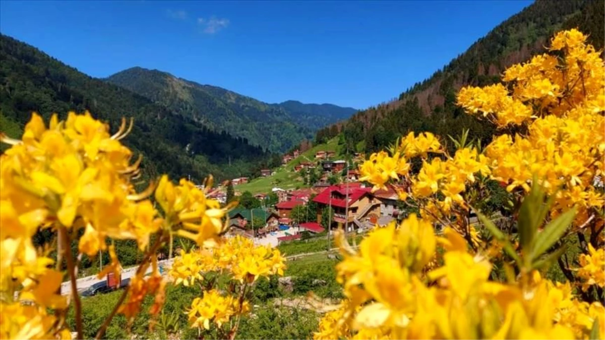 Doğu Karadeniz\'in gözdesi Ayder Yaylası turizm sezonuna hazırlanıyor