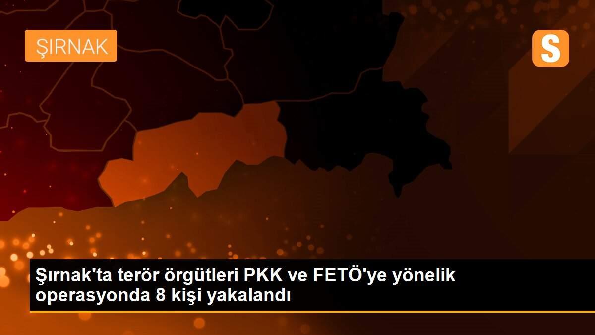 Şırnak\'ta terör örgütleri PKK ve FETÖ\'ye yönelik operasyonda 8 kişi yakalandı