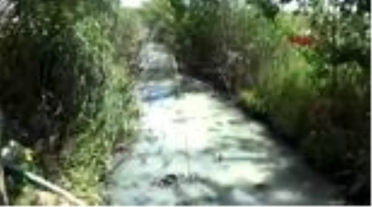 Son dakika haberi: ANTALYA Mahallelinin dereye bırakılan atık su tepkisi