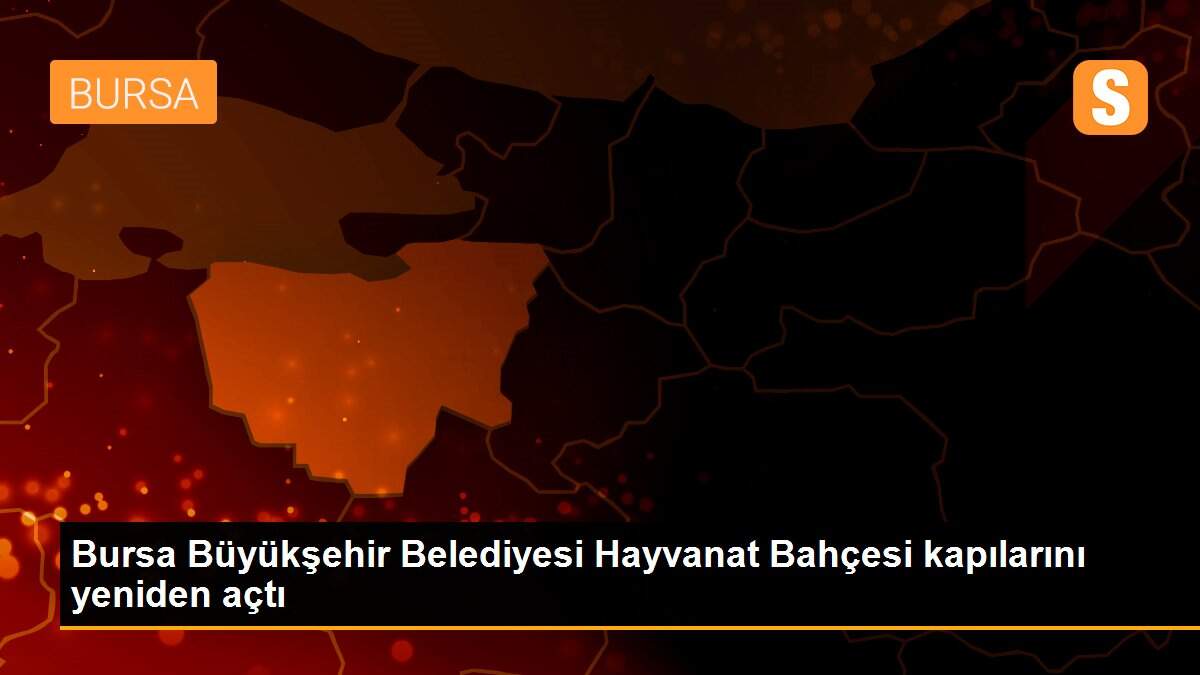Bursa Büyükşehir Belediyesi Hayvanat Bahçesi kapılarını yeniden açtı