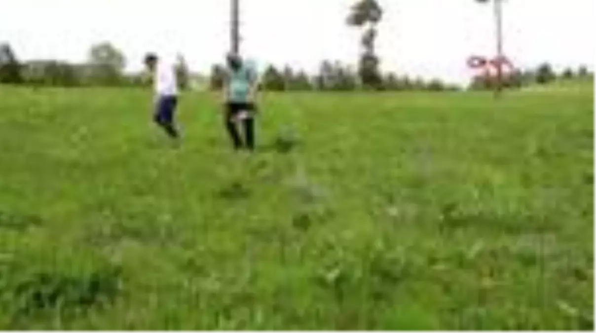 ERZURUM Olur yaylalarında mantar bereketi