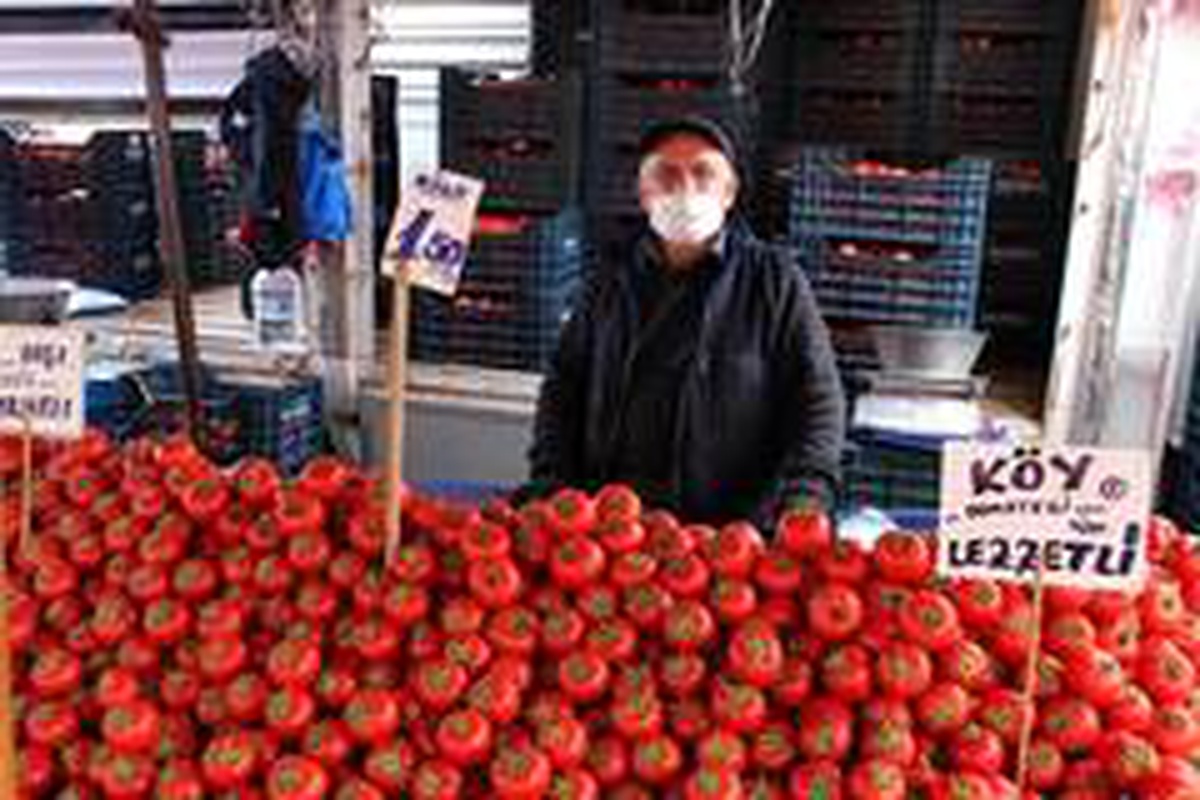 Son dakika haber... Eskişehir\'de domatesin kilosu 1.50 lira
