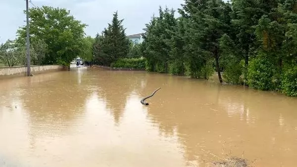 İznik'te sağanak; tarım arazilerinde zarar büyük