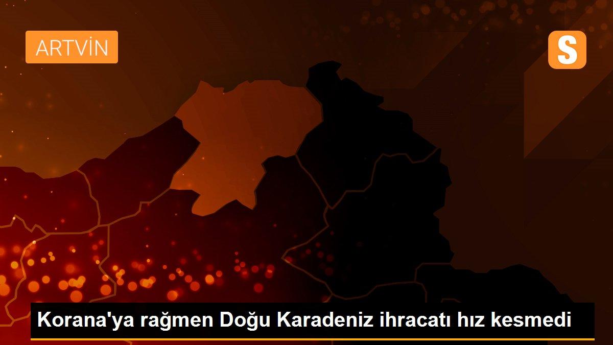 Korana\'ya rağmen Doğu Karadeniz ihracatı hız kesmedi