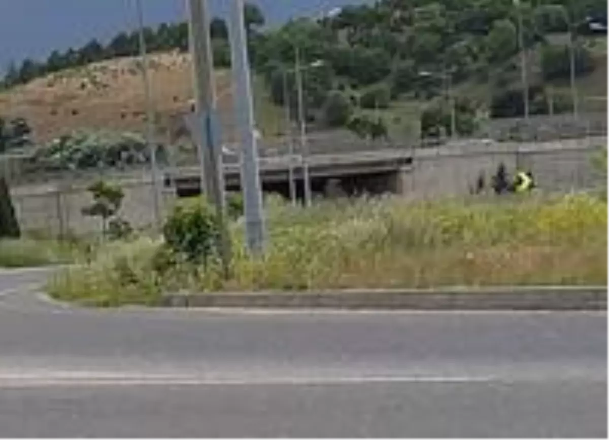 Refüjlerde yükselen otlar sürücülerin görüş açısını daraltıyor