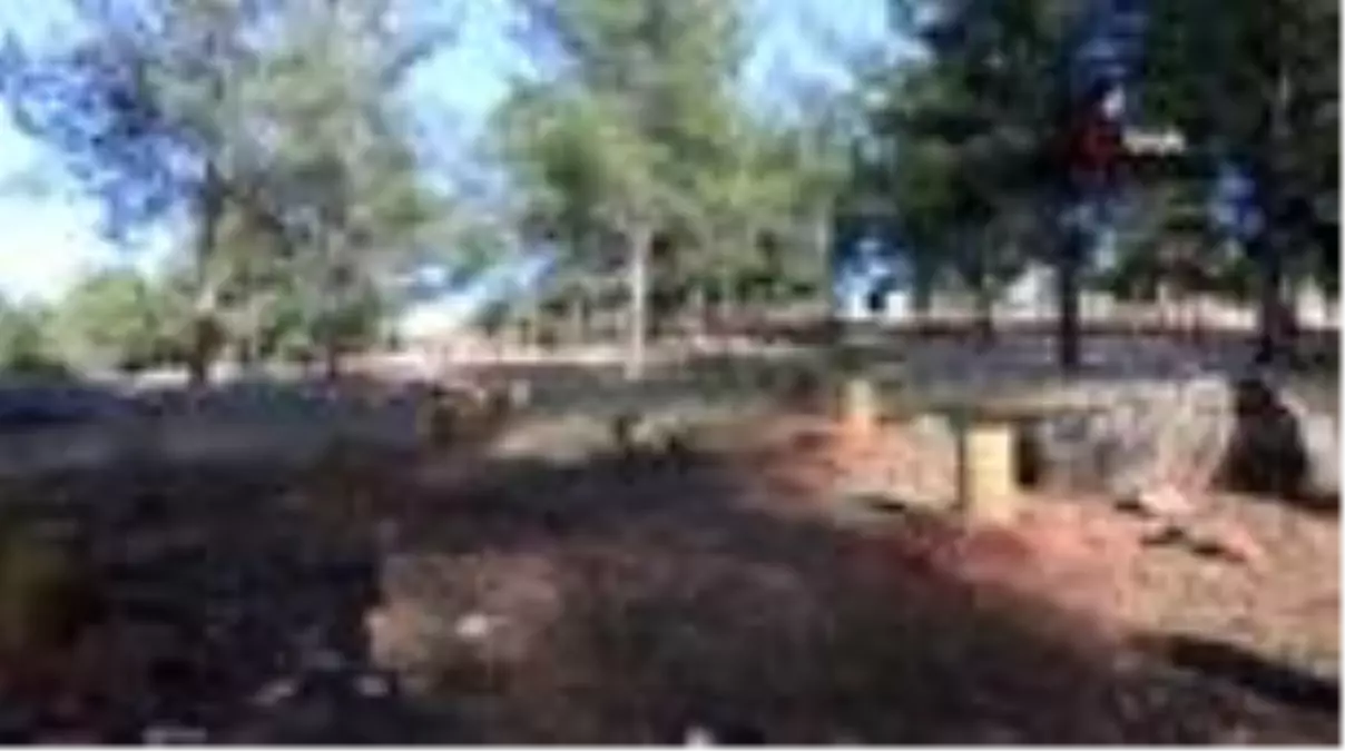 Son dakika haberi: Yamaçtepe Tabiat Parkı turizme hazır