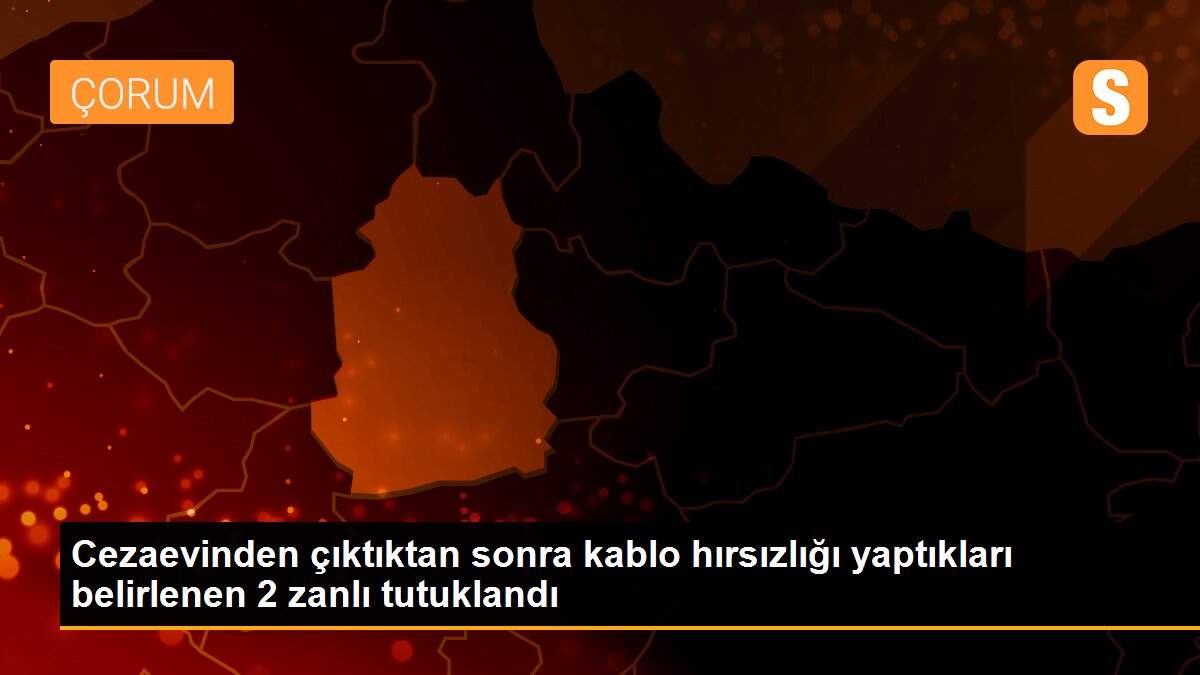 Cezaevinden çıktıktan sonra kablo hırsızlığı yaptıkları belirlenen 2 zanlı tutuklandı