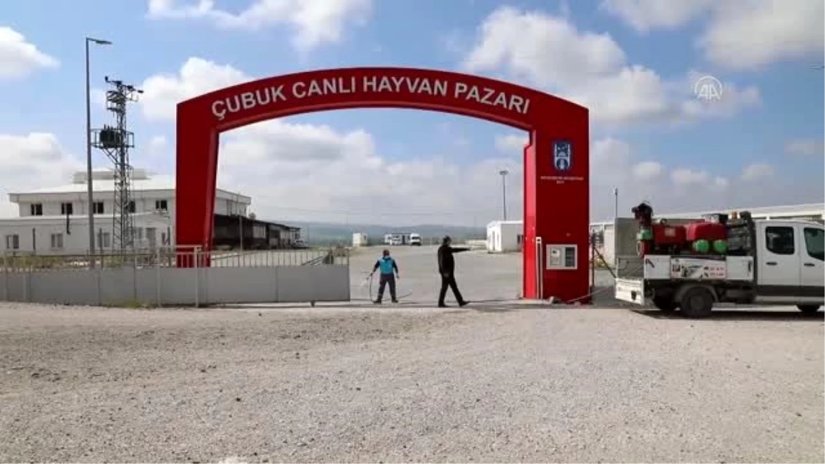 Çubuk canlı hayvan pazarında dezenfeksiyon çalışması yapıldı