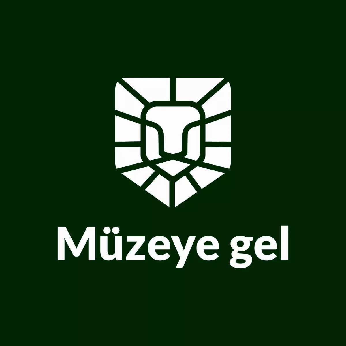 Dünya ve Türkiye\'deki müze videoları dijital medyada