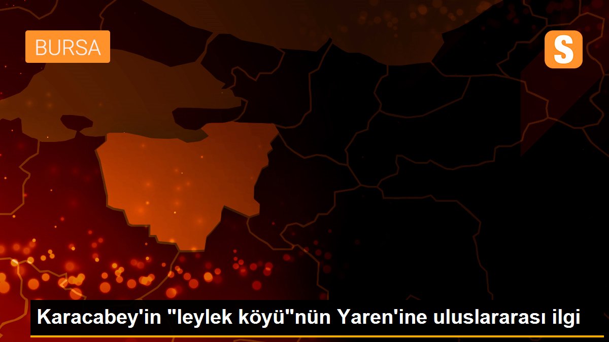 Karacabey\'in "leylek köyü"nün Yaren\'ine uluslararası ilgi