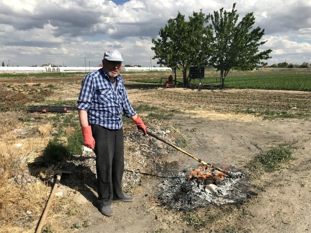 Konya\'da 65 yaş üzeri vatandaşlar vaktini bahçesinde değerlendiriyor