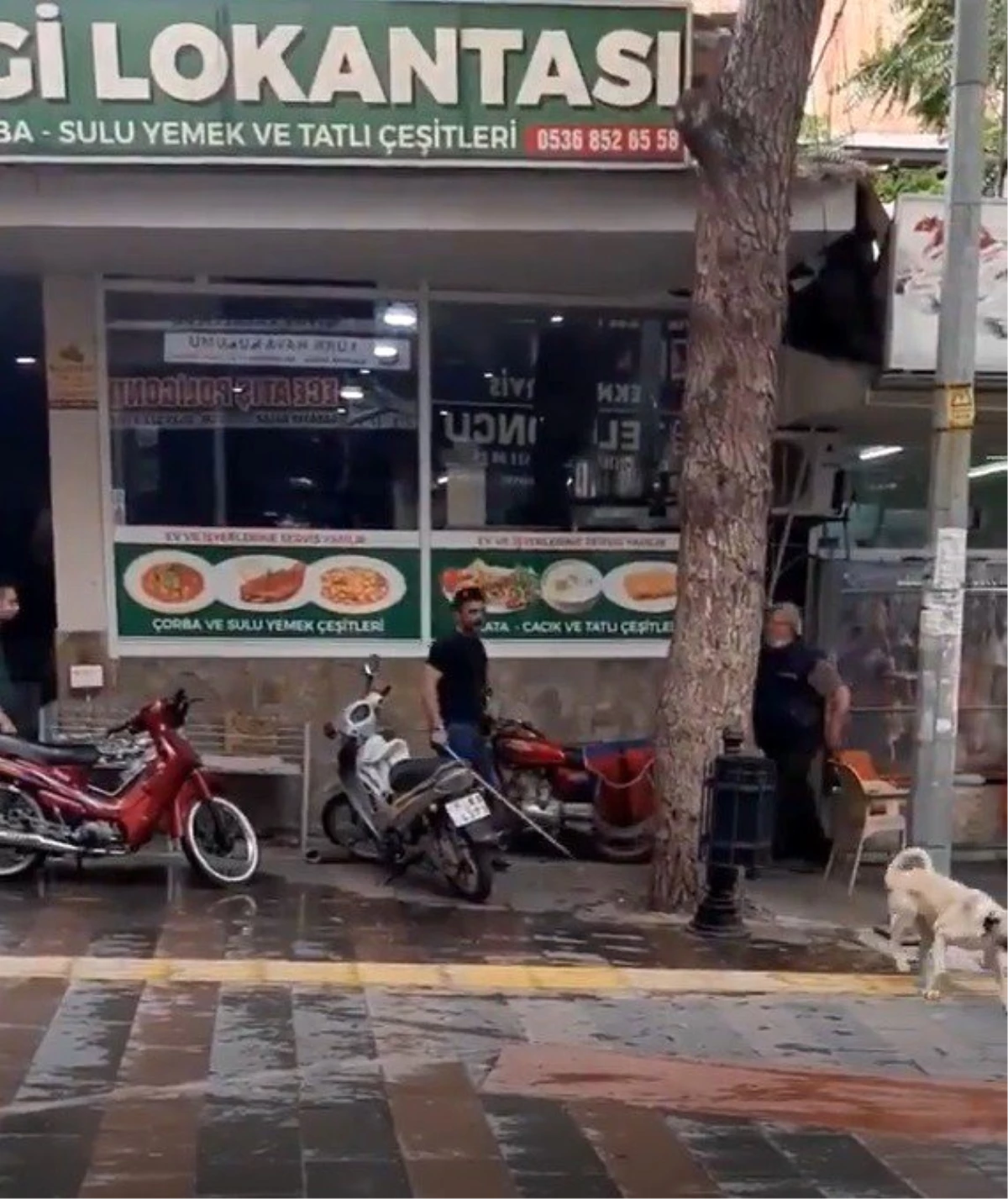 Manisa\'da sokak köpeğini sopayla döven adama ceza yağdı