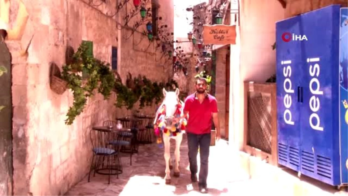Mardin\'in meşhur süslü atları ziyaretçilerini bekliyor