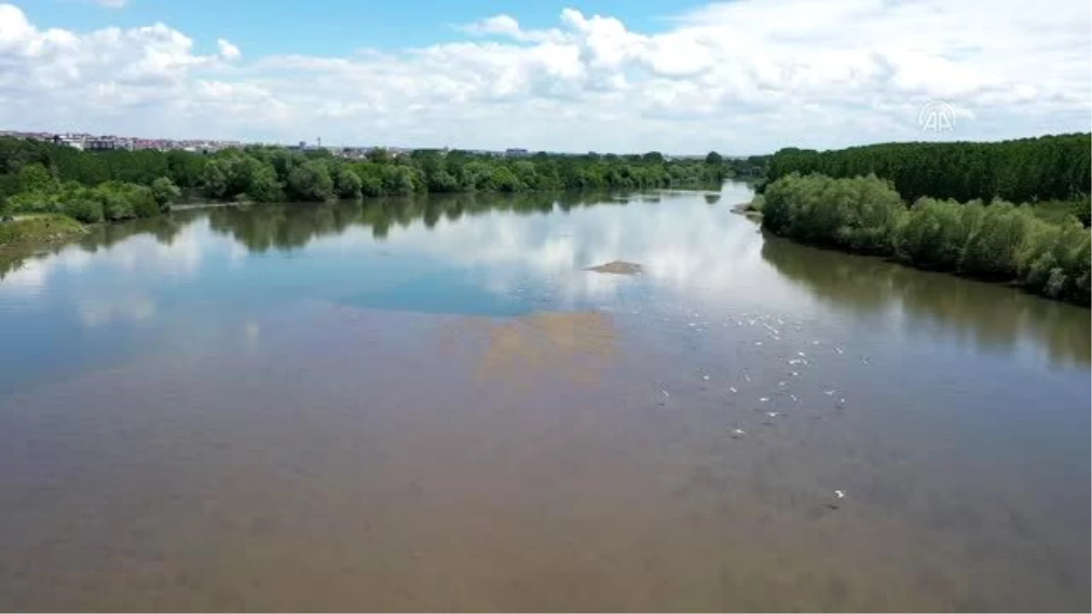 Meriç Nehri\'nin debisi, yağışlarla iki günde yüzde 50\'den fazla yükseldi