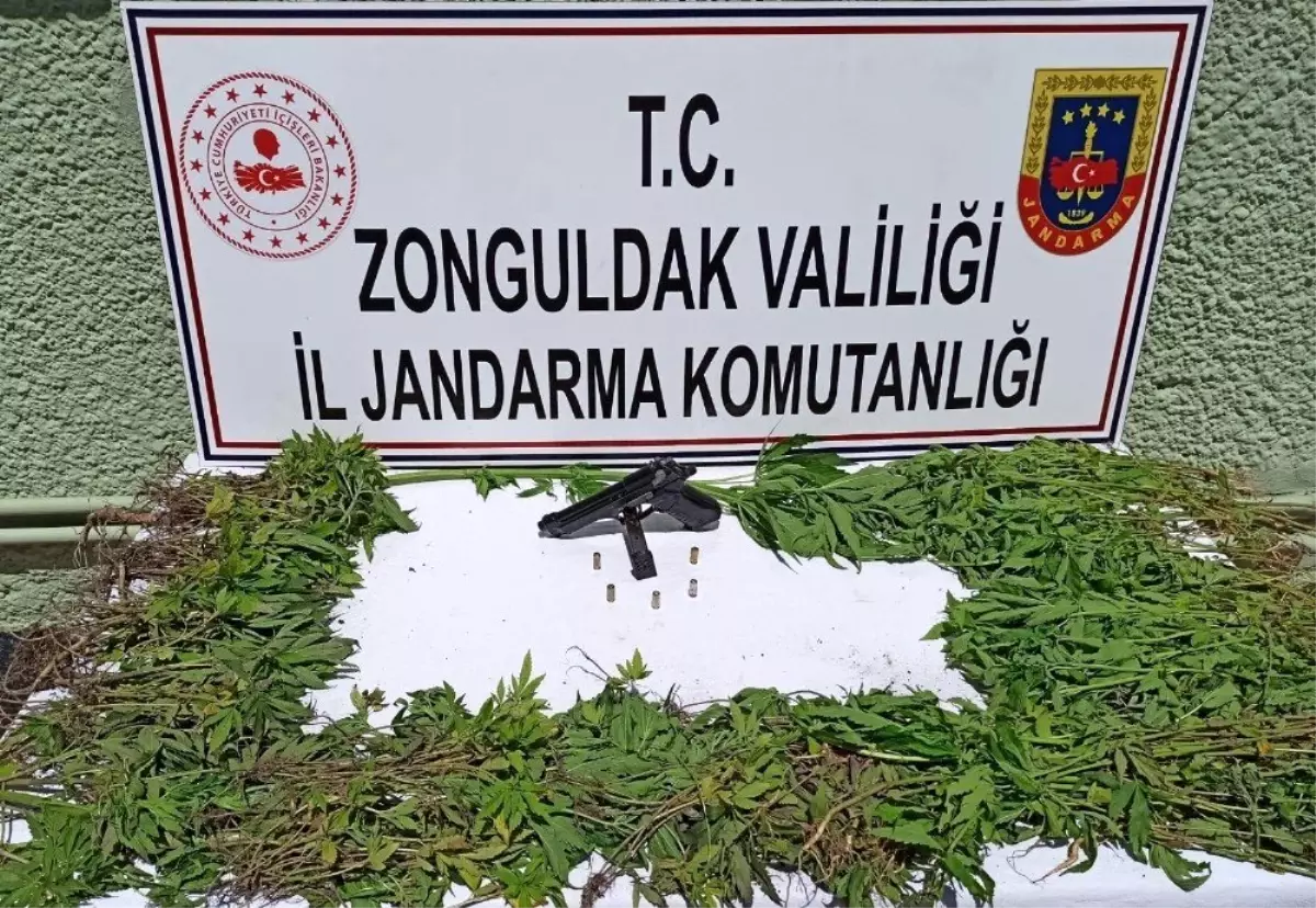 Jandarmadan uyuşturucu operasyonu: 1 gözaltı