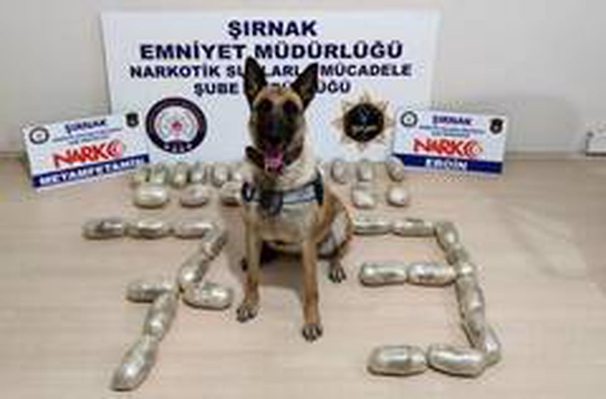 Şırnak\'ta 16 kilogram eroin ele geçirildi