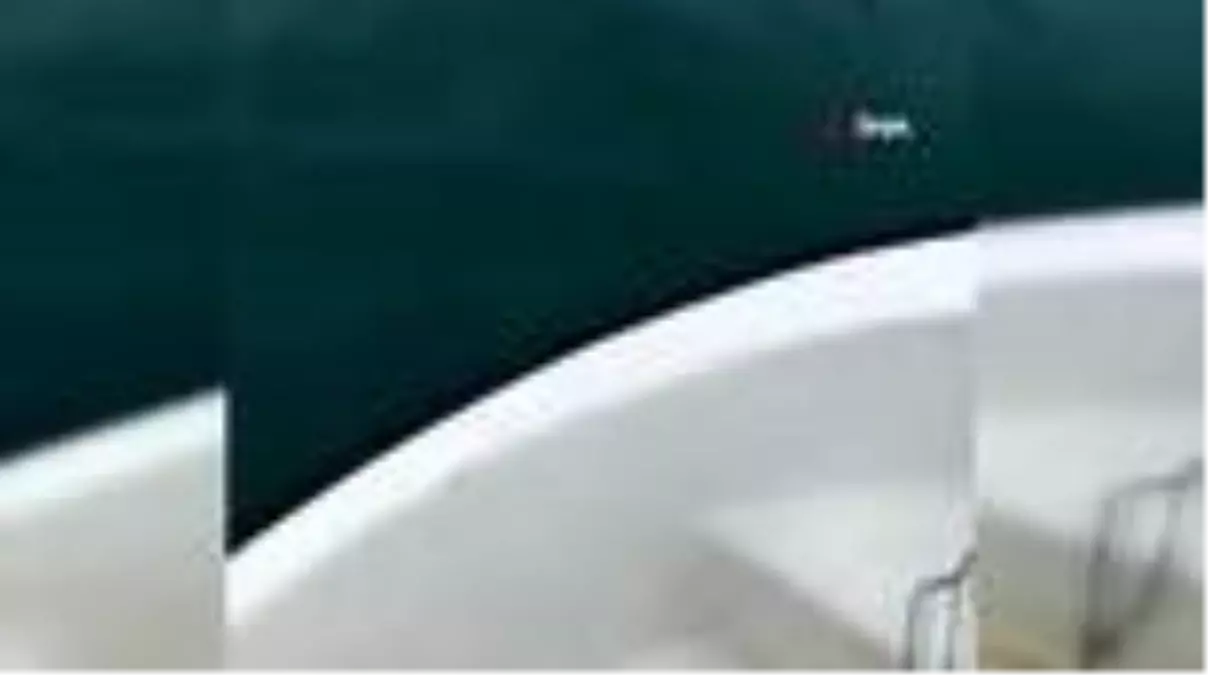 Balık için açıldığı denizde yüzen yaban domuzu ile karşılaştı