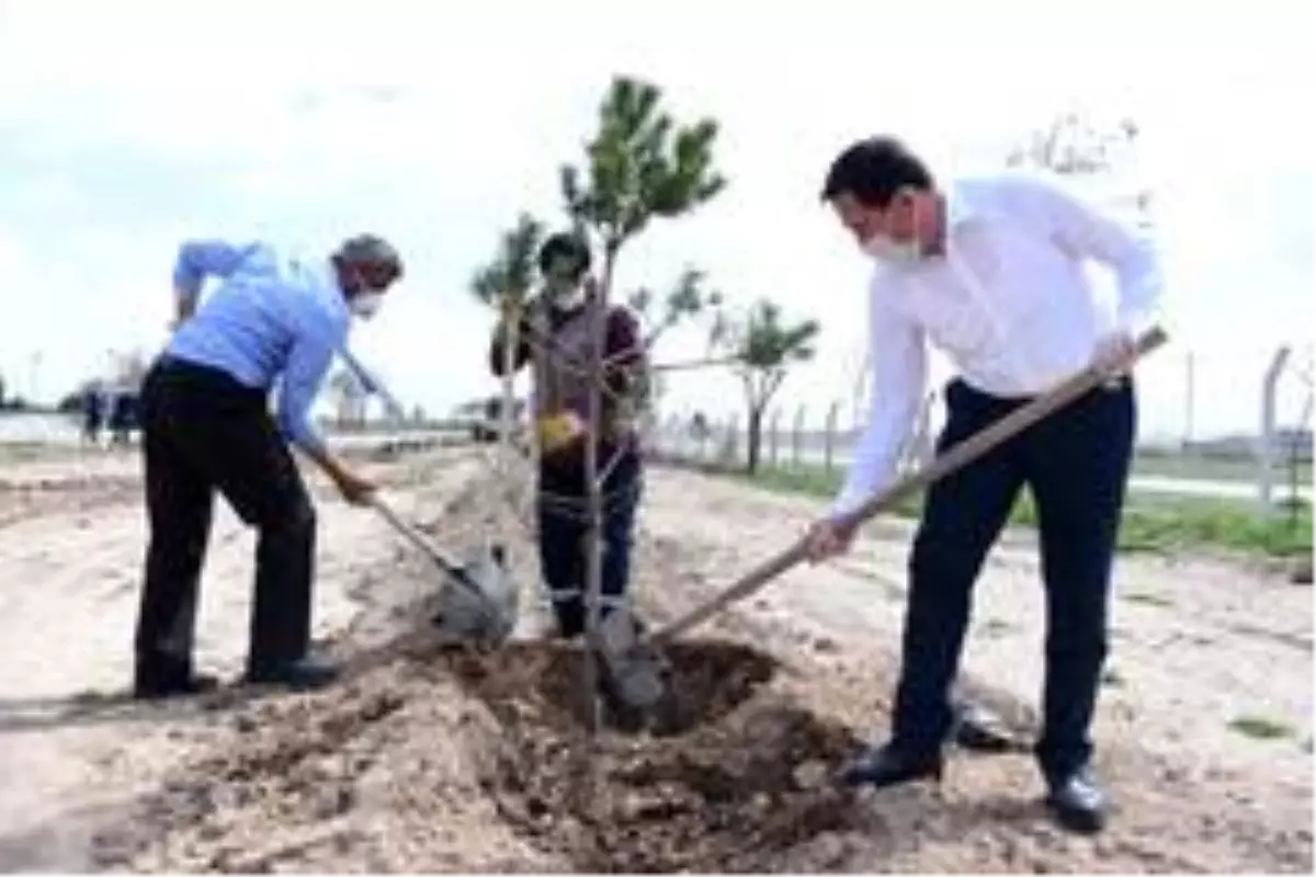 Son dakika! Başkan Kılca: "Çevreci projelerimizle Karatay\'ı geleceğe taşıyoruz"