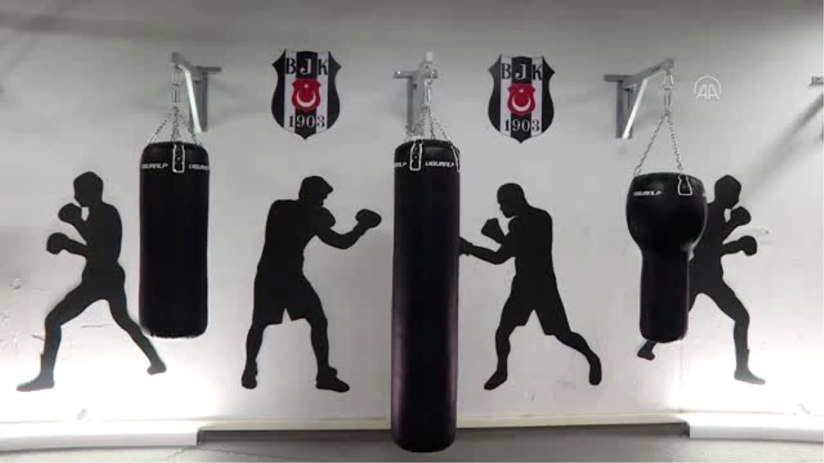 Beşiktaş\'ın boks ve güreş şubeleri Park\'taki yeni yerinde faaliyet gösterecek