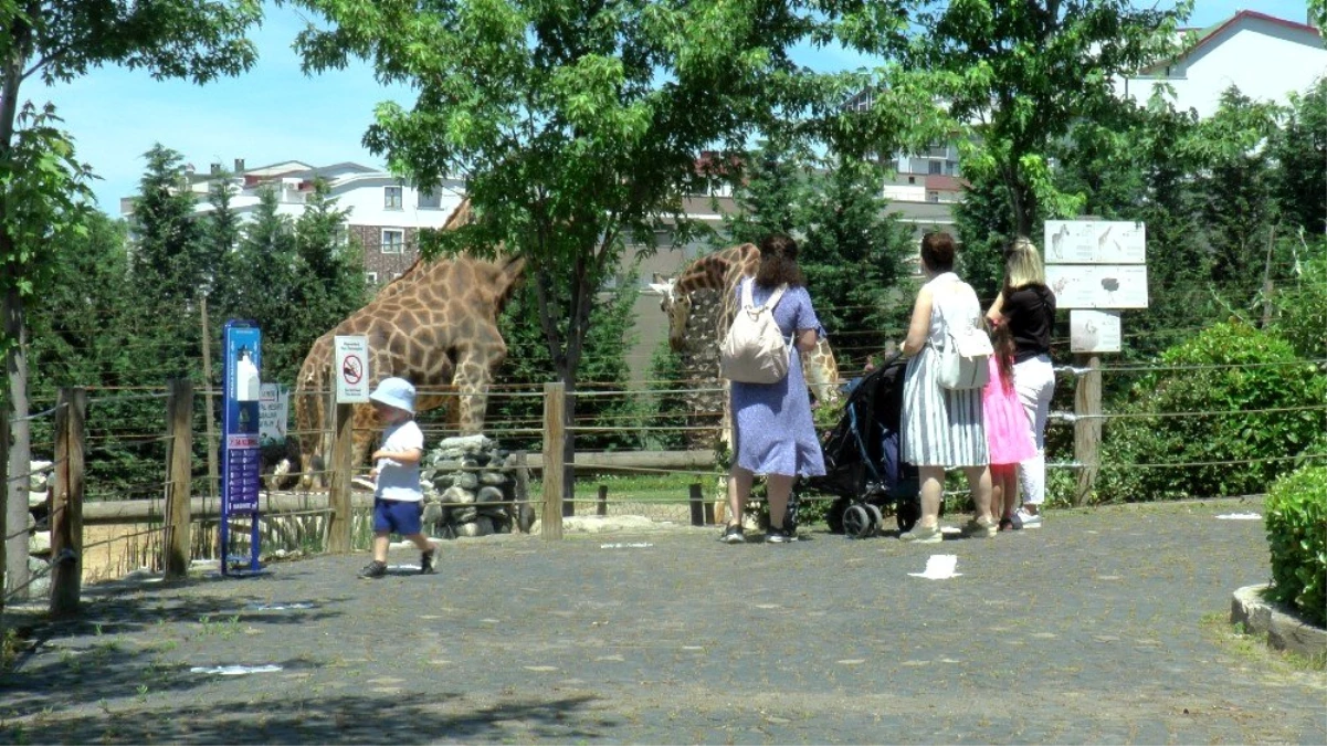 Çocuklar, 3 ay sonra açılan hayvanat bahçesinde vakit geçirdi