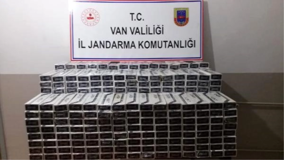 Dere yatağında 5 bin paket kaçak sigara bulundu