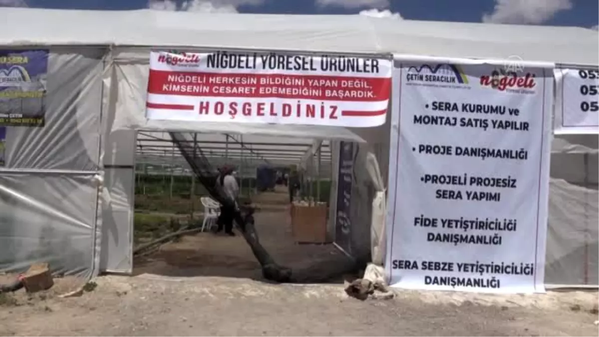 Devlet desteğiyle sera kuran çiftçi örnek oldu