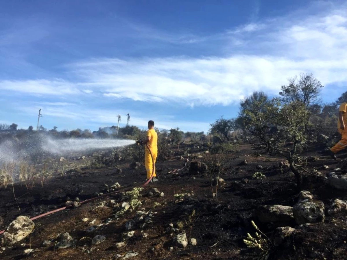 Dikili\'de 1 hektarlık alan yandı