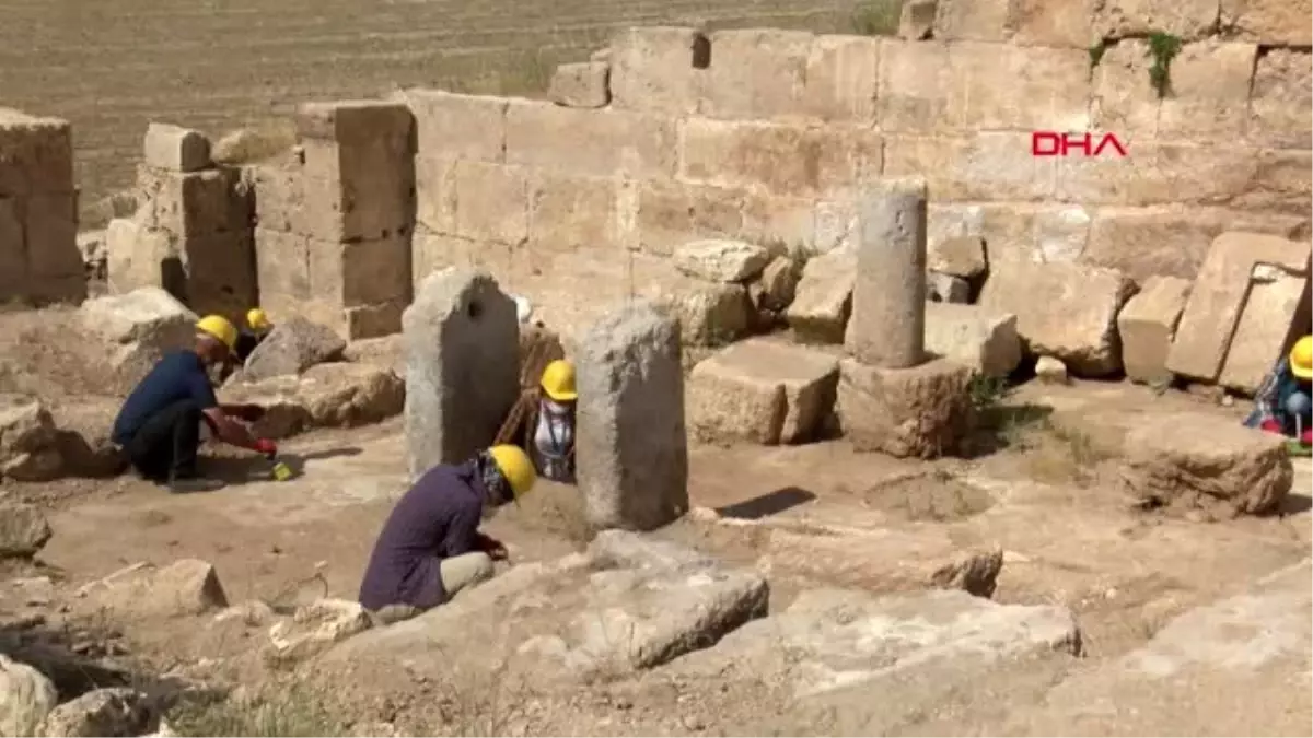 DİYARBAKIR Zerzevan Kalesi\'nde sosyal mesafeli ve maskeli kazı dönemi