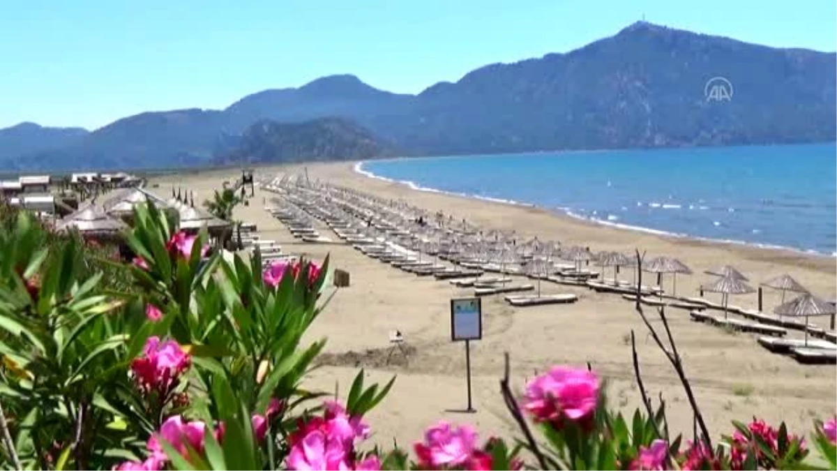 İztuzu Plajı gündüz turistleri gecede caretta carettaları ağırlıyor