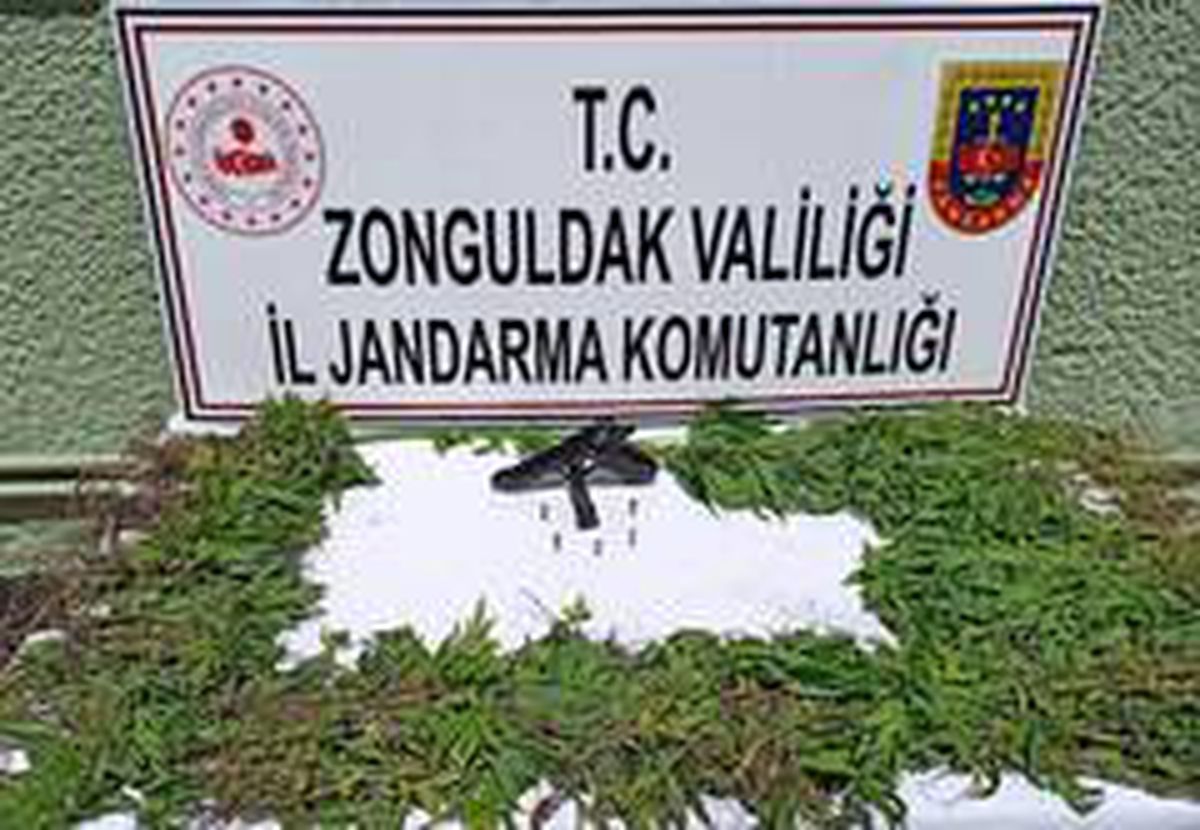 Jandarmadan uyuşturucu operasyonu