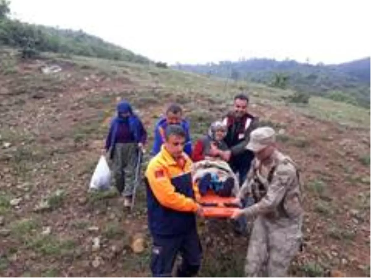 Son Dakika: Kaybolan yaşlı kadın ormanlık alanda bulundu